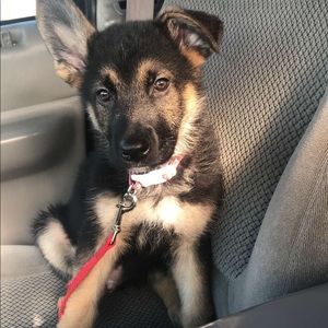 Meet your Posher, Mathew